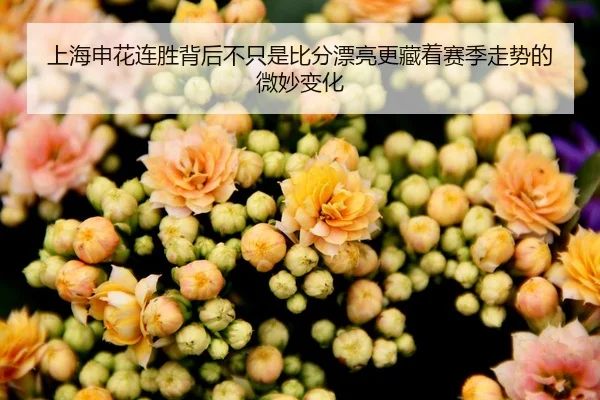 上海申花连胜背后不只是比分漂亮更藏着赛季走势的微妙变化